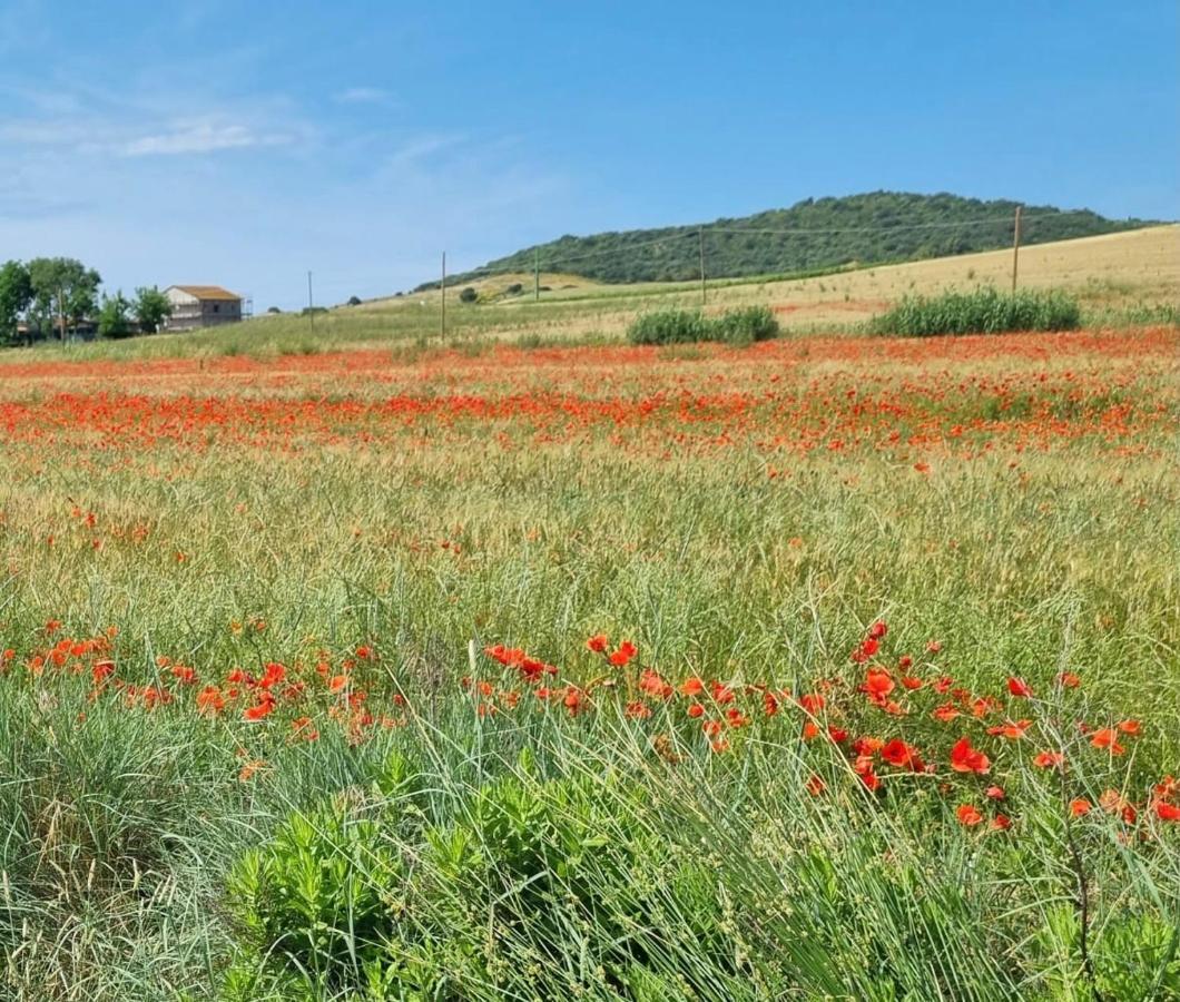 Casa Maira In Centro A Saturnia 빌라 외부 사진