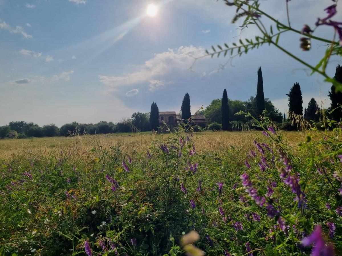 Casa Maira In Centro A Saturnia 빌라 외부 사진